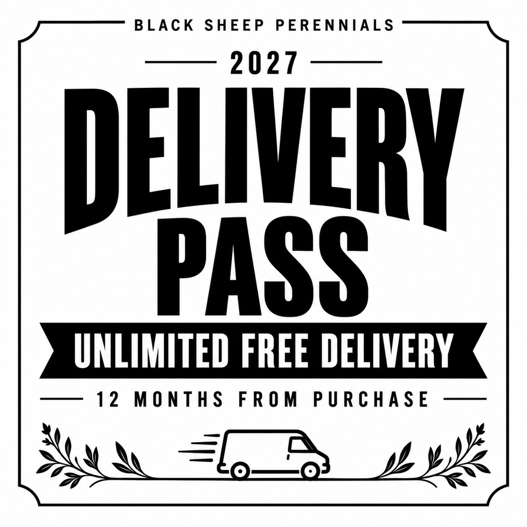 2027 Delivery Pass