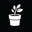 Black Sheep Perennials logo