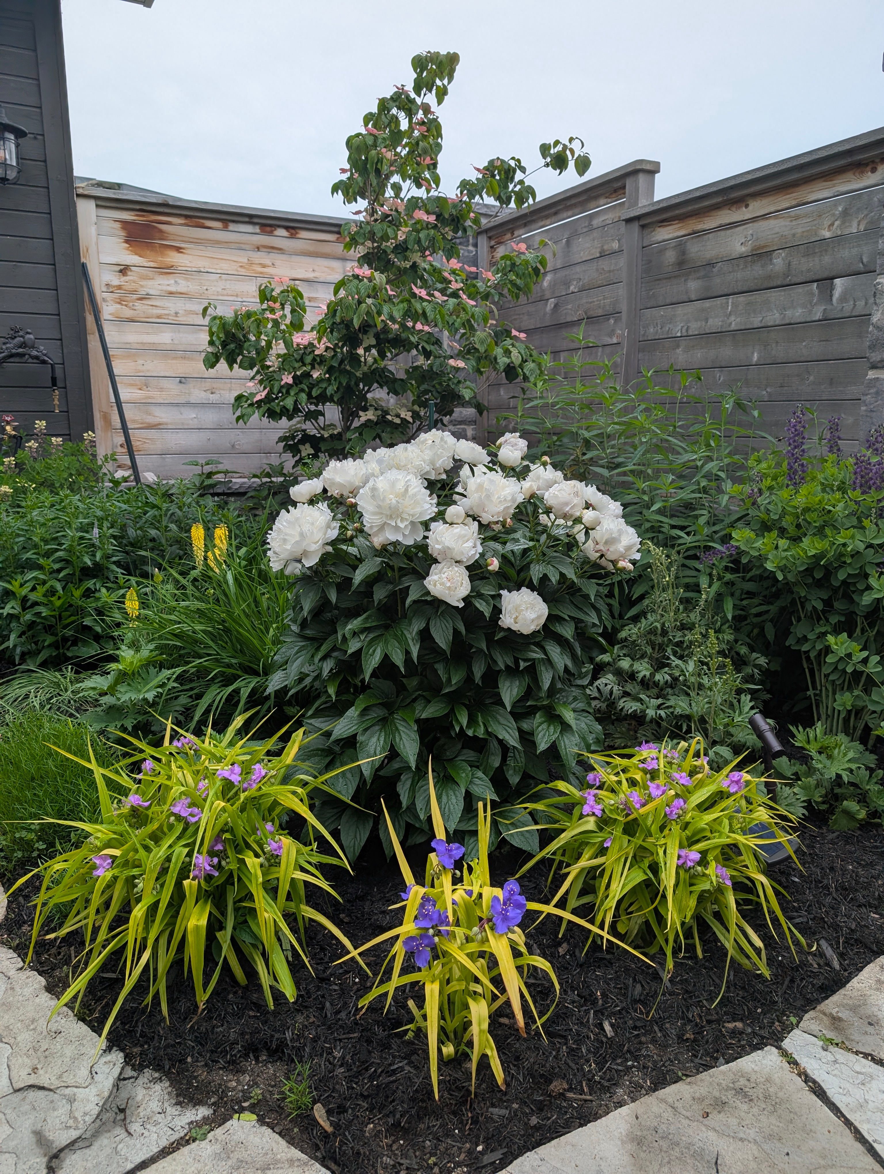 Forest Garden 【PrincessAlice】 The Home-Scale Forest Garden by Dani Baker – Silver Creek Nursery Ltd.