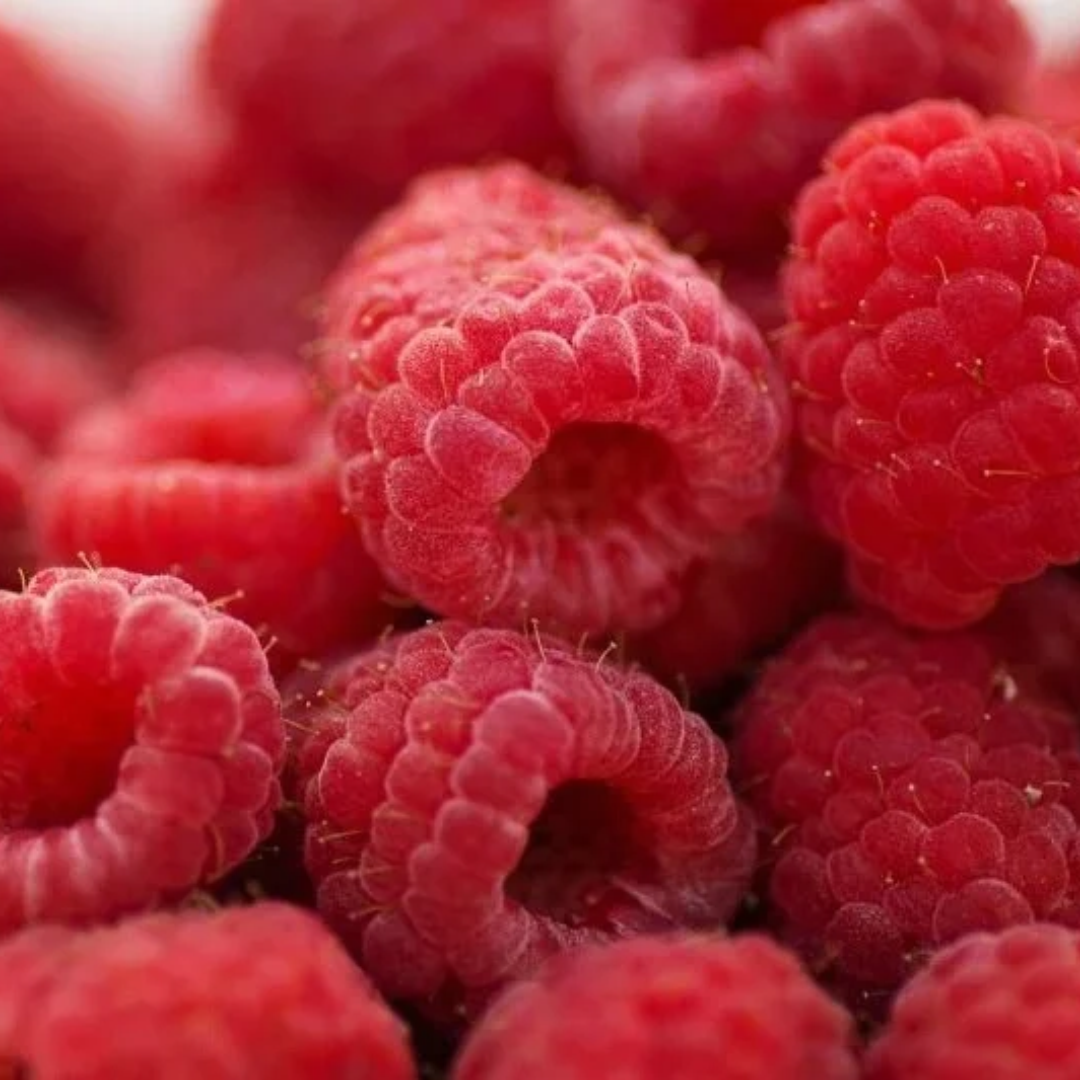 Raspberry x 'Red Bounty'